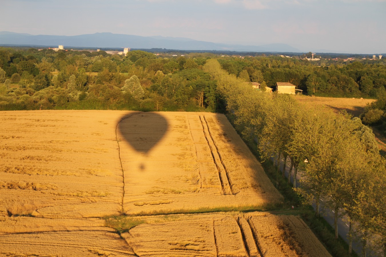 ombre de la montgolfière sur un champ