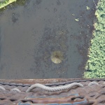 Reflet de la Montgolfière dans l'étang